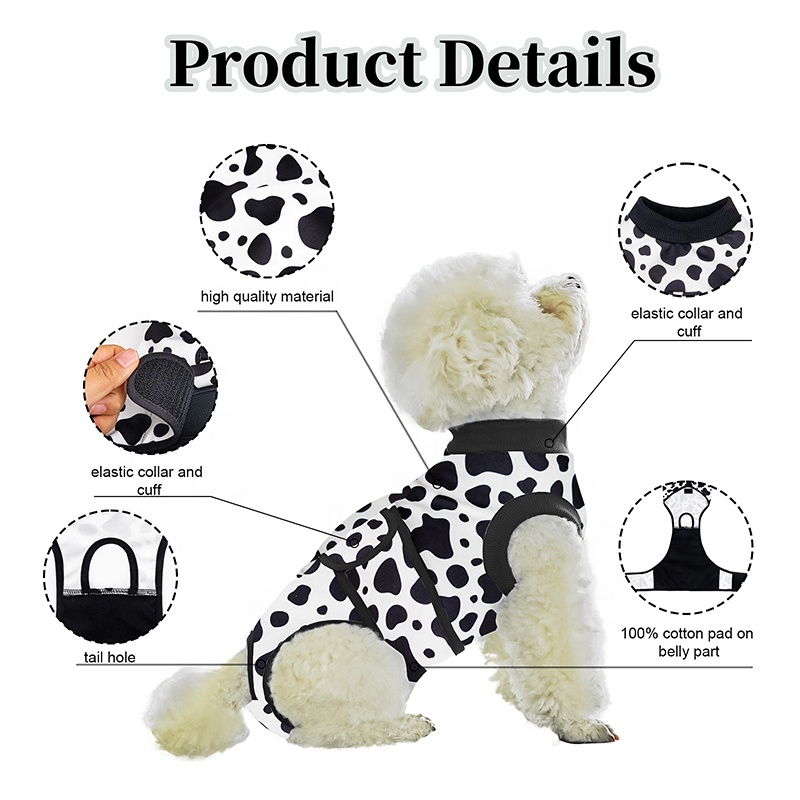 Hundechirurgie-Anzug, weiblich – Leather Work Factory Bewertung und Preis
