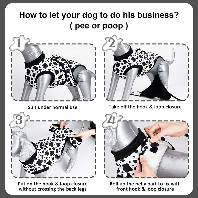 Hundechirurgie-Anzug, weiblich – Leather Work Factory Bewertung und Preis